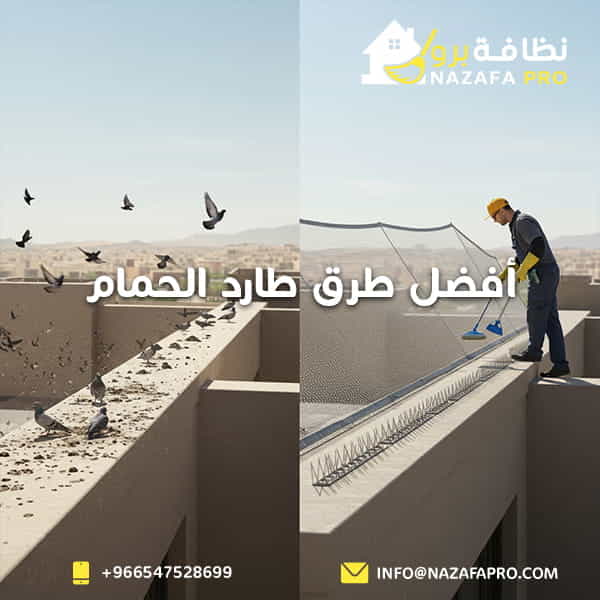 أفضل طرق طارد الحمام - ٠٥٤٧٥٢٨٦٩٩
