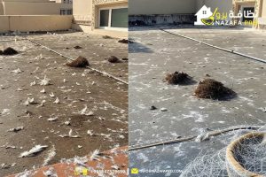 تركيب-شبك-حمام-الأشواك