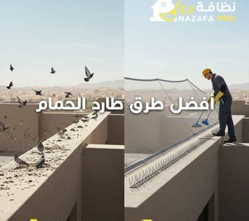 أفضل-طرق-طارد-الحمام