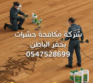 شركة-مكافحة-حشرات-بحفر-الباطن