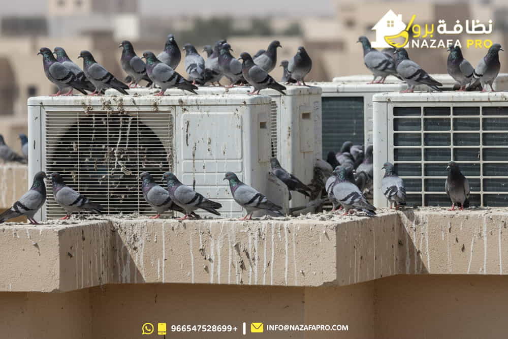 تركيب-طارد-الحمام-دليلك-الشامل-0547528699
شركة-تنظيف-بحفر-الباطن