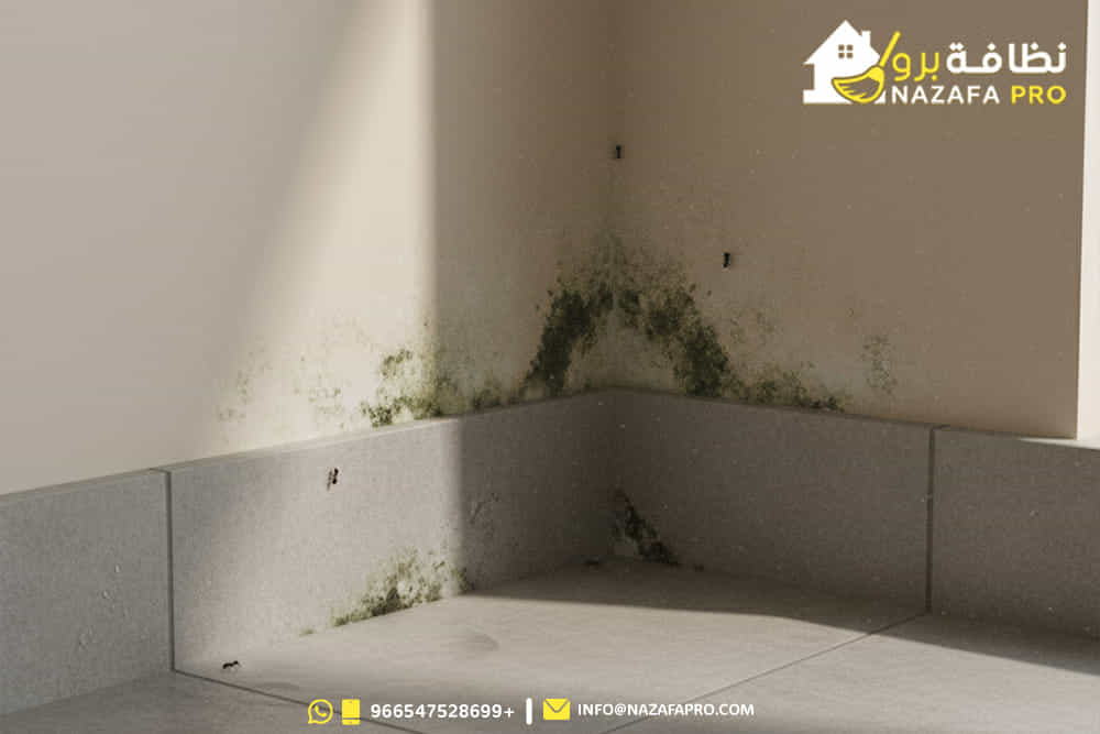 شركة-تنظيف-بحفر-الباطن
نظافة-برو