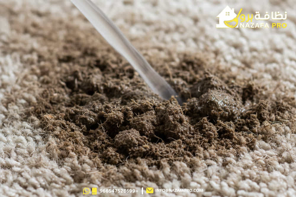 تنظيف-السجاد-بالبخار تنظيف-السجاد شركة-تنظيف شركة-تنظيف-بحفر-الباطن شركة-تنظيف-في-حفر-الباطن