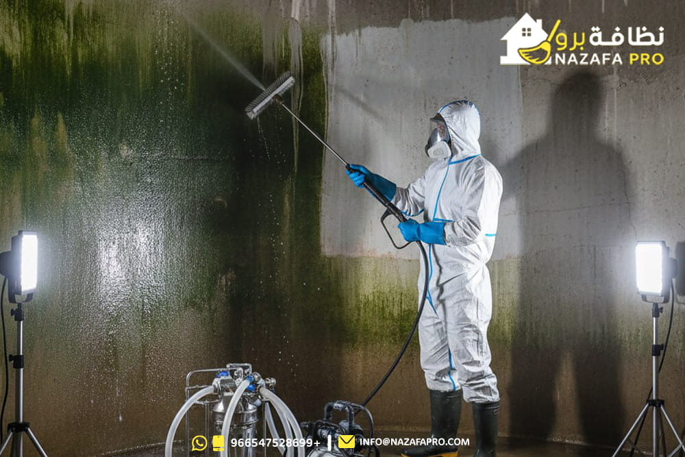 دليلك-الشامل-لـ-تنظيف-الخزانات-2026