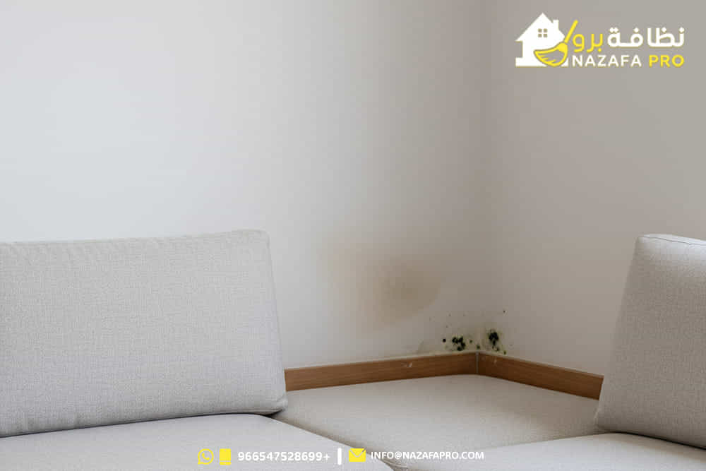 شركة-تنظيف-مجالس-بحفر-الباطن شركة-تنظيف-مجالس شركة-تنظيف-بحفر-الباطن