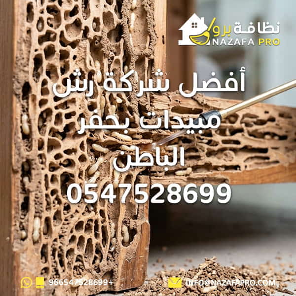 أفضل شركة رش مبيدات بحفر الباطن - 0547528699