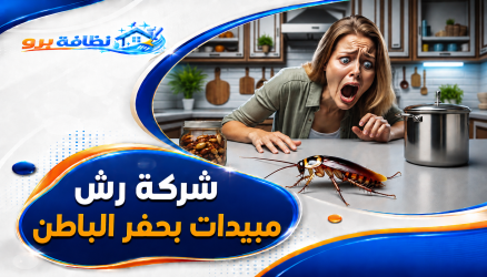 شركة رش مبيدات بحفر الباطن نتيجة مضمونة 0547528699