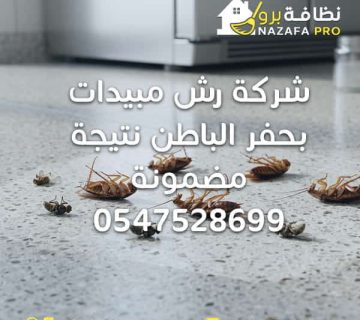 شركة رش مبيدات بحفر الباطن مكافحة حشرات بحفر الباطن شركة مكافحة حشرات بحفر الباطن رش مبيدات بحفر الباطن أفضل شركة رش مبيدات شركة مكافحة البق شركة رش مبيدات بحفر الباطن نتيجة مضمونة أفضل شركة رش مبيدات بحفر الباطن شركة مكافحة حشرات بحفر الباطن بالضمان رش مبيدات بحفر الباطن بأسعار خاصة شركة رش حشرات بحفر الباطن فعالة